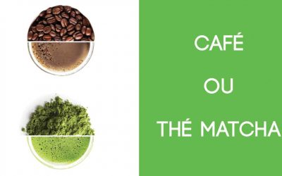 Pourquoi Remplacer le Café par du Thé Vert Matcha ?