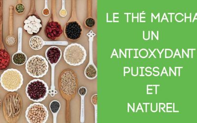 Le thé matcha: un aliment antioxydant puissant et naturel