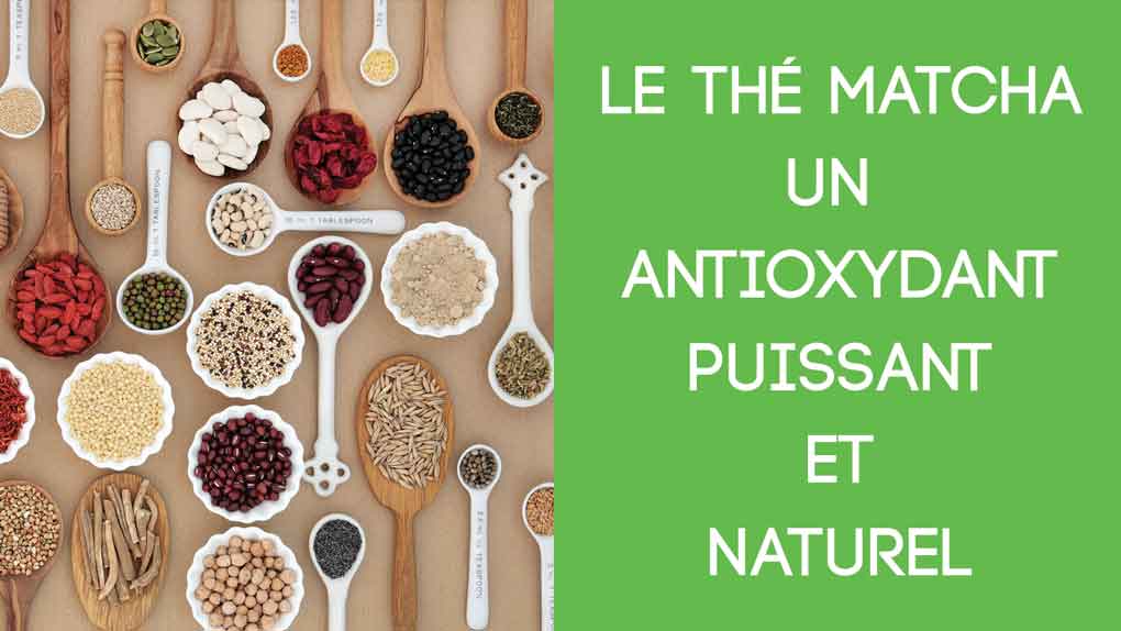 Le thé matcha: un aliment antioxydant puissant et naturel